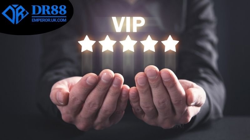 tang-code-vip-dr88